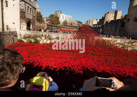 Turm von London Mohn als Mahnmal für die gefallenen im ersten Weltkrieg (WW1), London England UK Soldaten Stockfoto