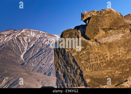 Red Canyon Petroglyphen, weiße Mtns in Dist, Sunset, Fish Slough Road in der Nähe von Bischof, Owens Valley, Mojave-Wüste, Kalifornien, USA Stockfoto