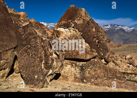 Chidago Canyon Petroglyphen bei Fisch Slough Road in Chalfant Valley, Mojave-Wüste, in der Nähe von Bishop, Kalifornien, USA Stockfoto