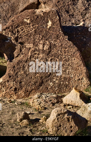 Chidago Canyon Petroglyphen bei Fisch Slough Road in Chalfant Valley, Mojave-Wüste, in der Nähe von Bishop, Kalifornien, USA Stockfoto