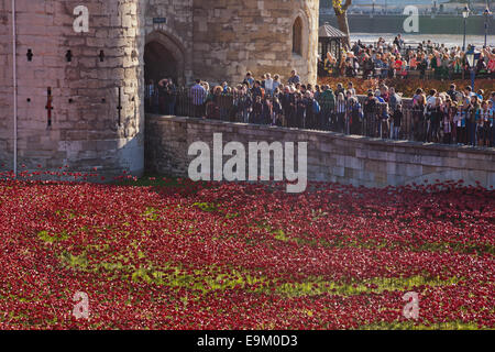 Die Mohnblumen Kunstwerk außerhalb der Tower of London, London UK mit Massen von Touristen auf der Suche auf. Stockfoto