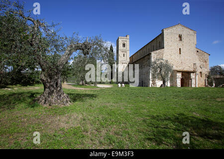 Abtei von Sant'Antimo, die Benediktiner-Kloster in der Comune von Montalcino, Toskana, Italien Stockfoto