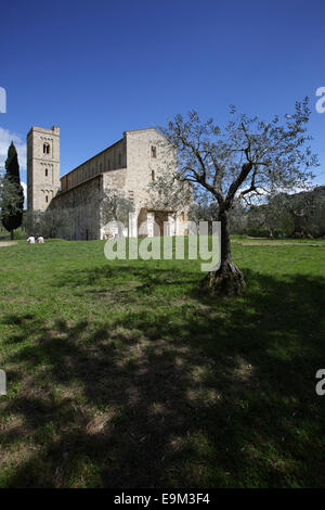 Abtei von Sant'Antimo, die Benediktiner-Kloster in der Comune von Montalcino, Toskana, Italien Stockfoto