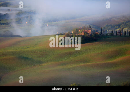 Nebligen Landschaft bei Sonnenaufgang in Val d ' Orcia, in der Nähe von San Quirico d ' Orcia, Toskana, Italien Stockfoto