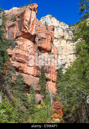 Herbstfarben entlang der West Fork of Oak Creek Trail im nördlichen Arizona Stockfoto