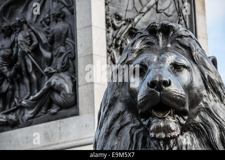 LONDON, Vereinigtes Königreich – eine der vier großen bronzenen Löwenstatuen, bekannt als die Landseer Lions, am Fuße der Nelson's Column am Trafalgar Square im Zentrum von London. Diese ikonischen Skulpturen, die von Sir Edwin Landseer entworfen wurden, sind seit ihrer Installation im Jahr 1867 ein herausragendes Merkmal dieses historischen Platzes. Stockfoto