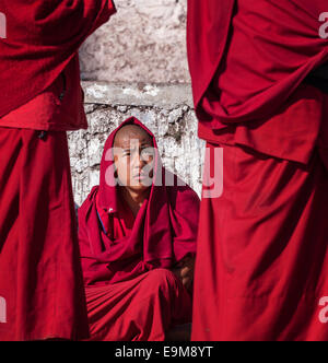 Junger buddhistischer Mönch aus dem Kloster Lhatse Namgey Galden-flüssigkeit befinden, Tawang, Arunachal Pradesh, Indien Stockfoto