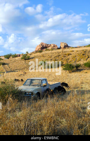 Verlassene Pick-up-Truck auf einem griechischen Hügel unter Schaf Stockfoto