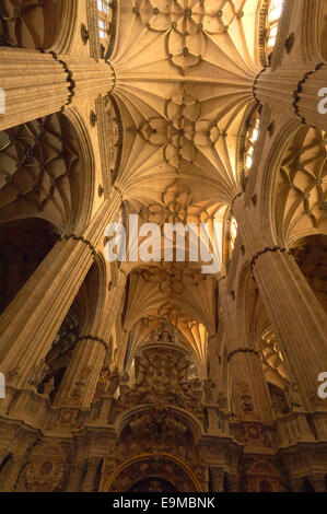 Kathedrale, innen neue Kathedrale, Salamanca, Via De La Plata, Silber Route, Kastilien-León, Spanien Stockfoto