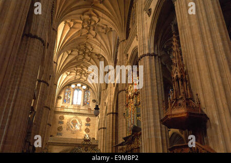 Kathedrale, innen neue Kathedrale, Salamanca, Via De La Plata, Silber Route, Kastilien-León, Spanien Stockfoto