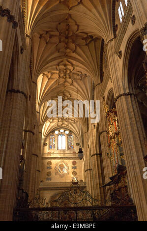 Kathedrale, innen neue Kathedrale, Salamanca, Via De La Plata, Silber Route, Kastilien-León, Spanien Stockfoto