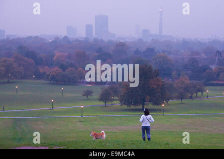 London, UK. 30. Oktober 2014. Wie Leichentücher London Nebel Skline, Fitness-Fanatiker laufen und trainieren Sie auf Primrose Hill. Im Bild: Eine Dogwalker am frühen Morgen Blick genießt. Bildnachweis: Paul Davey/Alamy Live-Nachrichten Stockfoto