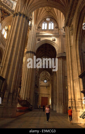 Kathedrale, innen neue Kathedrale, Salamanca, Via De La Plata, Silber Route, Kastilien-León, Spanien Stockfoto