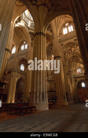 Kathedrale, innen neue Kathedrale, Salamanca, Via De La Plata, Silber Route, Kastilien-León, Spanien Stockfoto