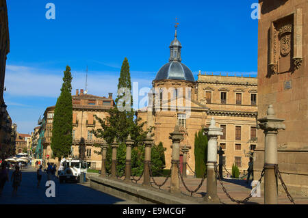 Kathedrale, Salamanca, neue Kathedrale, Via De La Plata Silber Route, Kastilien-León, Spanien Stockfoto