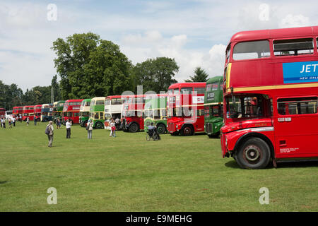 Blick entlang der Linie, der einige der Busse, die die Alton Bus Rallye & laufen Tag im Jahr 2014 besucht Stockfoto