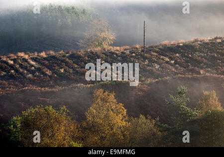 Nebel auf die Heide-Hügel im Herbst in Cannock Chase Bereich der hervorragenden natürlichen Schönheit Staffordshire Stockfoto