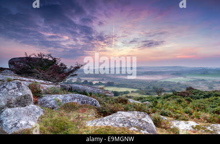 Eine schöne nebligen Herbst Sonnenaufgang von Helman Tor in der Nähe von Bodmin in Cornwall Stockfoto