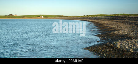 Schindel Bank bei Cemlyn Bay Nature Reserve an Nordküste Isle of Anglesey, North Wales UK, Sommer Stockfoto