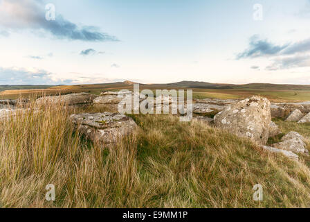 Bodmin Moor in Cornwall in Richtung Roughtor Brown Willy in der Ferne Stockfoto