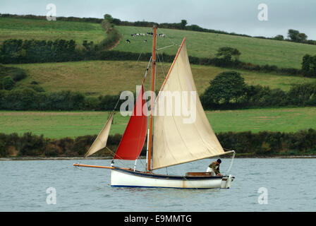 Austernfischen in der FAL-Mündung, Cornwall, Großbritannien. Stockfoto