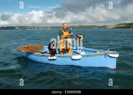 Austernfischen in der FAL-Mündung, Cornwall, Großbritannien. Stockfoto