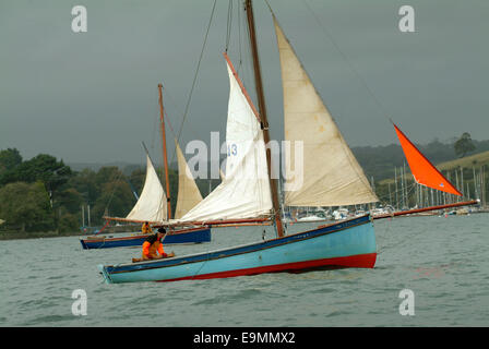 Austernfischen in der FAL-Mündung, Cornwall, Großbritannien. Stockfoto