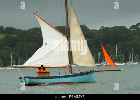 Austernfischen in der FAL-Mündung, Cornwall, Großbritannien. Stockfoto