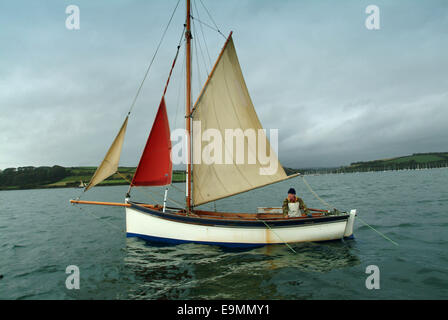 Austernfischen in der FAL-Mündung, Cornwall, Großbritannien. Stockfoto