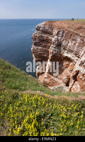 Insel Helgoland in der Nordsee Schleswig-Holsteins mit roten Sandsteinfelsen an der Nordwestküste. Deutschlands einzige Hochsee Stockfoto