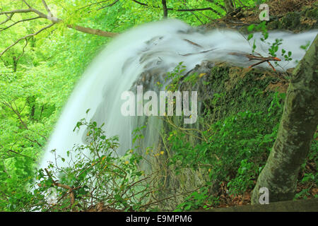 Wasserfall von Bad Urach, Deutschland Stockfoto