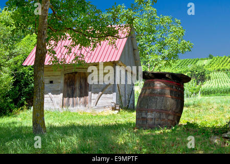 Holzhaus und Barrel im Weinberg Stockfoto