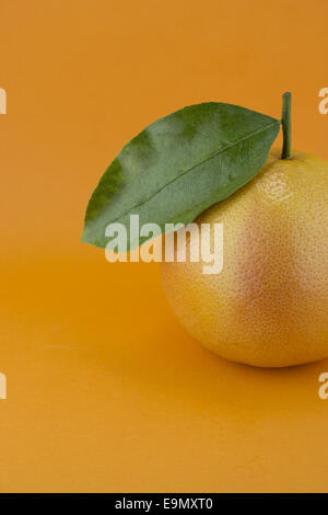 Reife appetitlich grapefruit Stockfoto