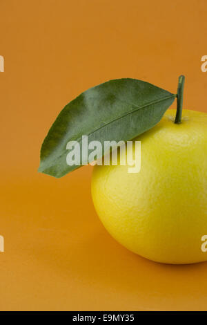 Reife appetitlich grapefruit Stockfoto