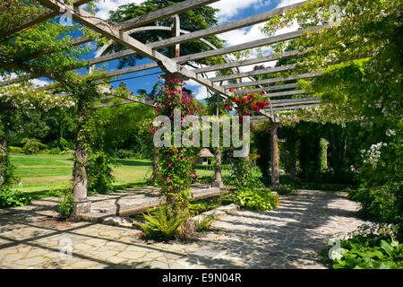 Teil der 300ft lange Edwardian Pergola in West Dean Gardens, West Sussex, England, UK Stockfoto