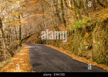 Herbst, Geres, Portugal Stockfoto