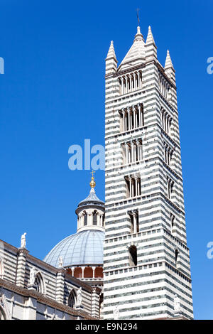 Dom in Siena Stockfoto