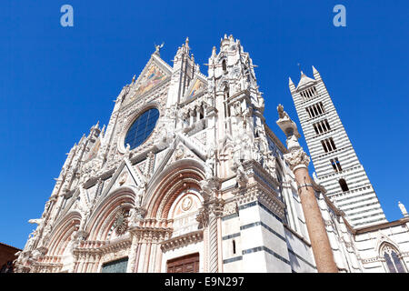 Dom in Siena Stockfoto