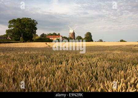 Alten Buckenham Mühle, Norfolk Stockfoto