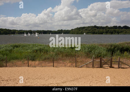 Frensham großen Teich (Bischöfe Teich) wurde ursprünglich im 13. Jahrhundert und ist heute ein Schutzgebiet für Wildtiere Stockfoto