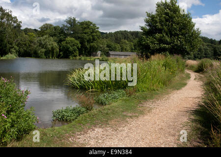 Umgebung von Waverley Abbey House, nr Farnham, Surrey Stockfoto