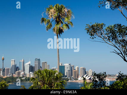 Dramatische Panoramafoto Sydney Harbour Stockfoto