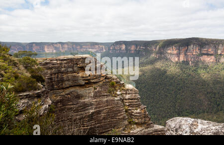 Grose Valley in Blue Mountains Australien Stockfoto