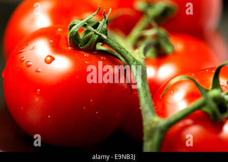 Tomaten auf Teller abgewinkelt Ansicht sdof Stockfoto