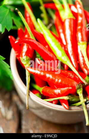 Paprika auf Holztisch Stockfoto