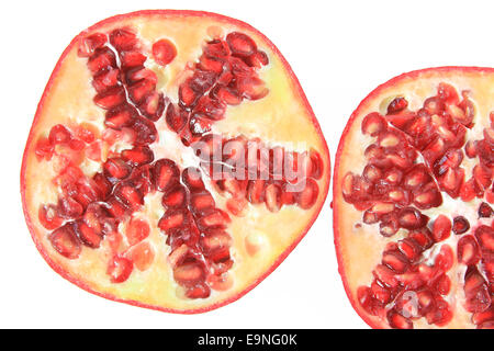 Granatapfel (Punica Granatum) Stockfoto