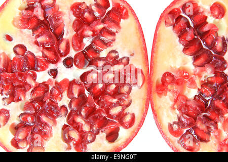 Granatapfel (Punica Granatum) Stockfoto