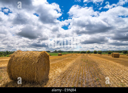 Heuballen auf einem Bauernhof Feld nach Ernte Uxbridge Ontario Kanada. Stockfoto