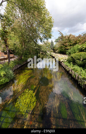 Blick auf den großen Stour Fluss in Westgate Gärten, Canterbury, England. Stockfoto