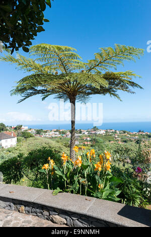 Santana, Madeira, Kanarische Inseln Stockfoto